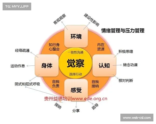 青少年网球心理建设与情绪管理训练课程在山东赛区的试点探索与实施 青少年网球心理建设与情绪管理训练课程在山东赛区的试点探索与实施